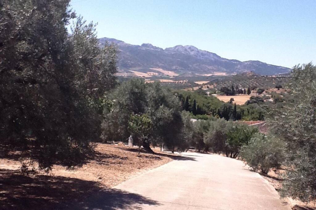 Finca Los Abetos Βίλα Villanueva del Rosario Εξωτερικό φωτογραφία