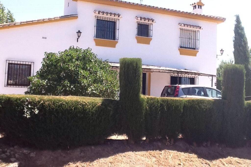Finca Los Abetos Βίλα Villanueva del Rosario Εξωτερικό φωτογραφία