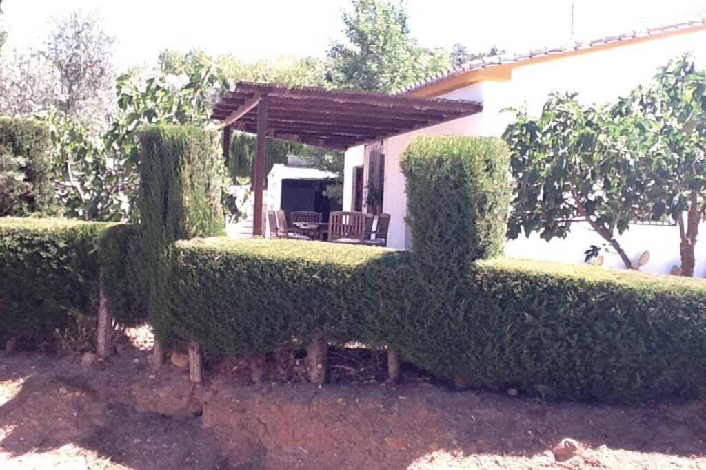 Finca Los Abetos Βίλα Villanueva del Rosario Εξωτερικό φωτογραφία